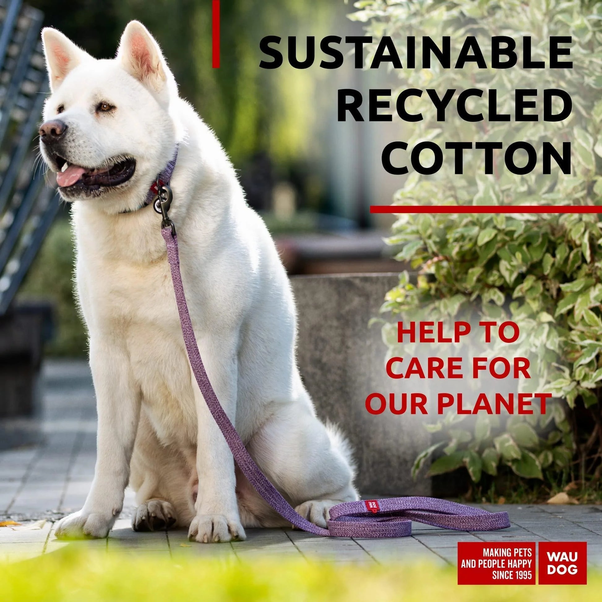 Recycled Cotton Dog Leash 6 Ft X 1 Inch Purple Eco Friendly Collar for Medium &