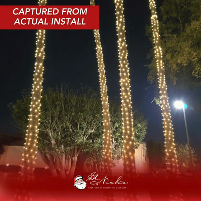 LED Mini Lights 5MM White Wire Warm White Twinkle 4:1 -6" Spacing